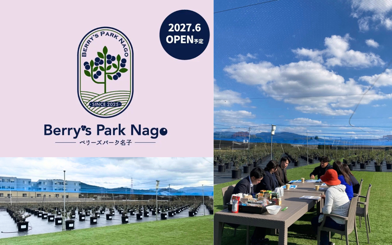 2027年夏 開業予定のブルーベリー農園「ベリーズパーク名子」（福岡市東区）準備の様子